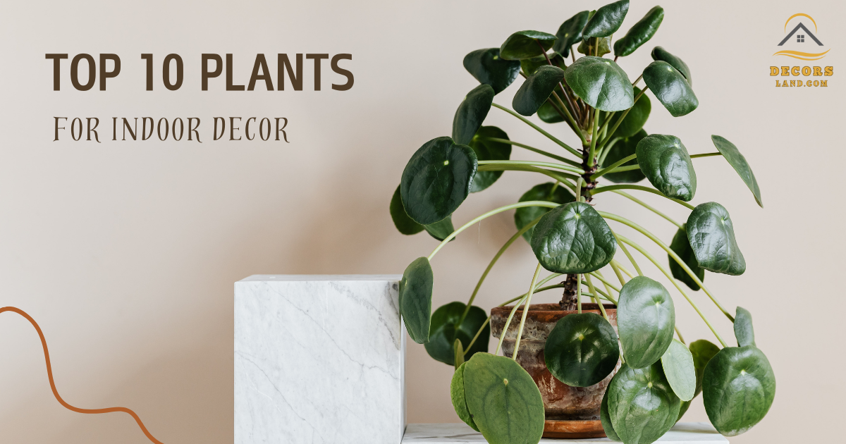 Top 10 plants for indoor decor